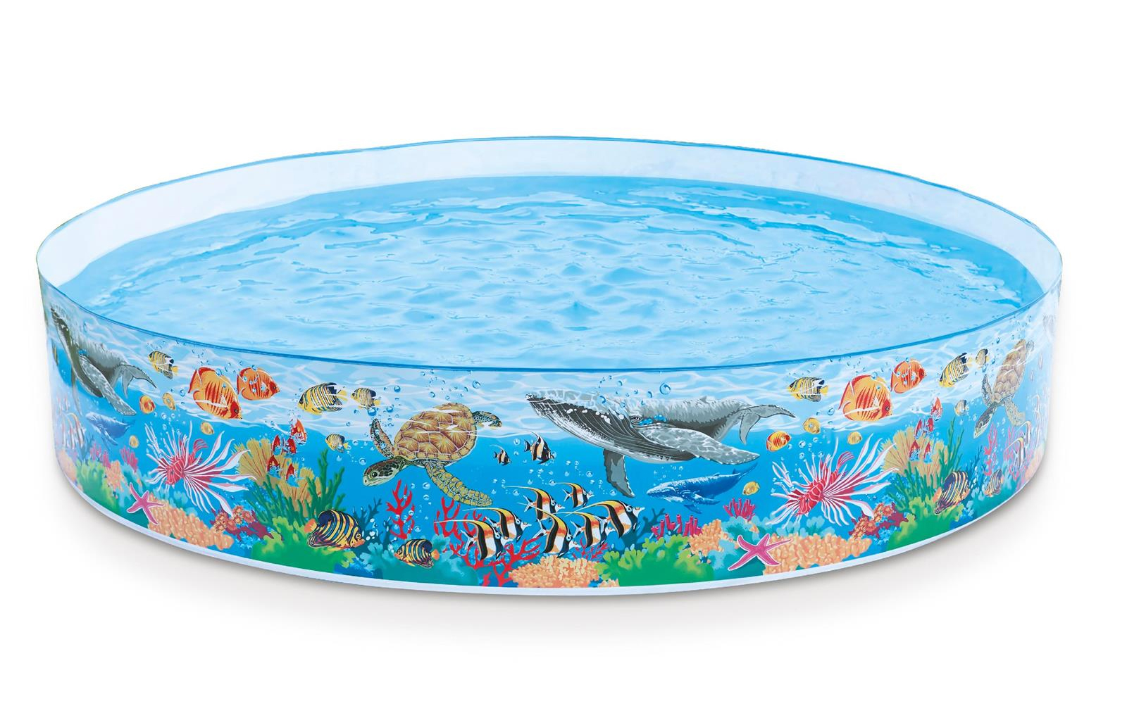 ������ ������ INTEX