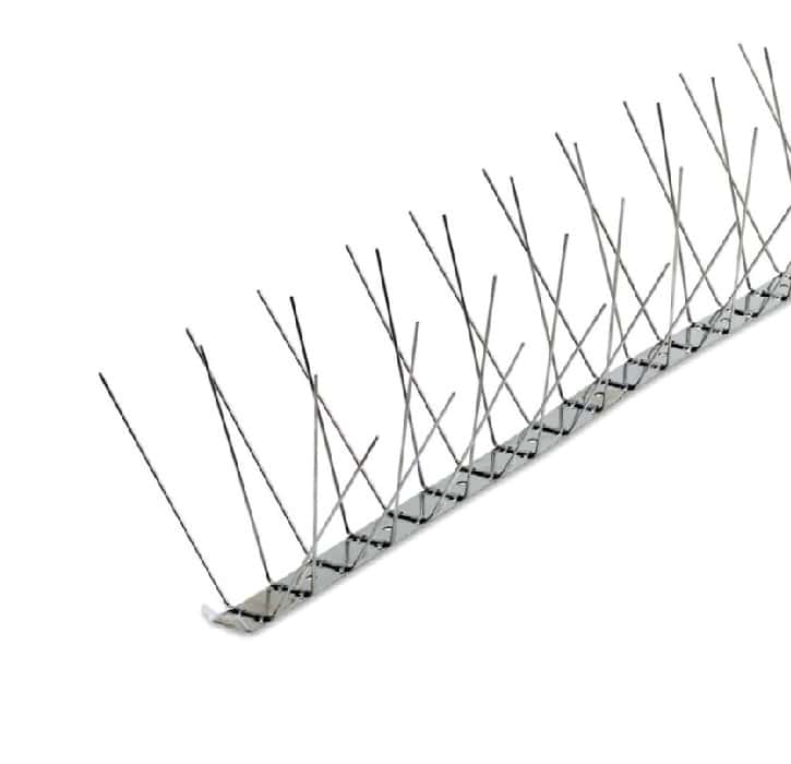 ����� �����